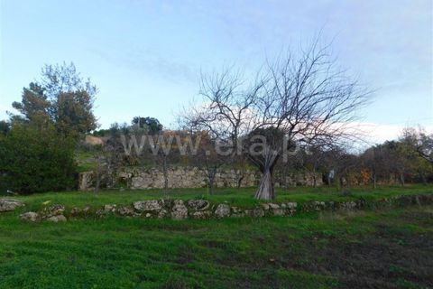 Farm i Fundao, Castelo Branco, Fundao - € 200.000 | Ref: 255180293 - foto 17