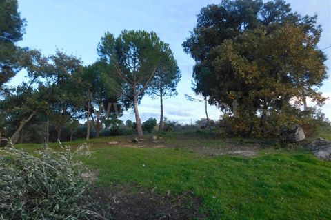 Farm i Fundao, Castelo Branco, Fundao - € 200.000 | Ref: 255180293 - foto 18