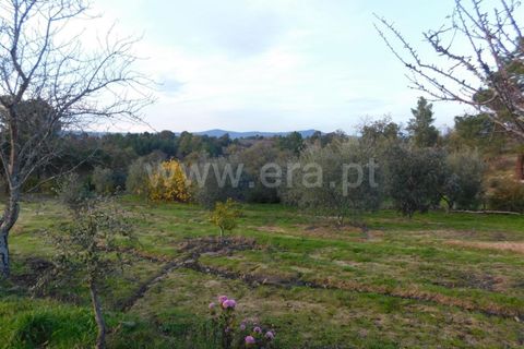 Farm i Fundao, Castelo Branco, Fundao - € 200.000 | Ref: 255180293 - foto 19