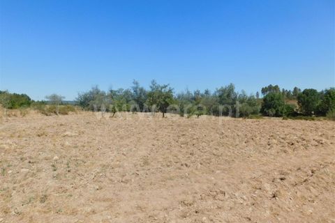 Farm i Fundao, Castelo Branco, Fundao - € 27.500 | Ref: 255190168 - foto 3