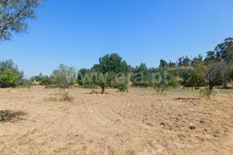 Farm i Fundao, Castelo Branco, Fundao - € 27.500 | Ref: 255190168 - foto 5