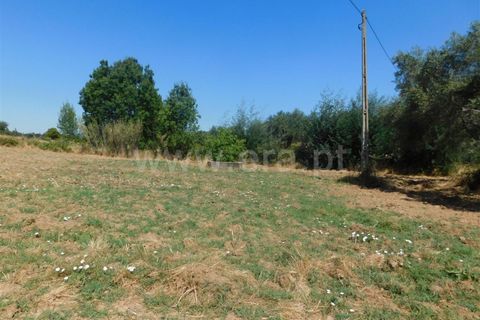 Farm i Fundao, Castelo Branco, Fundao - € 27.500 | Ref: 255190168 - foto 6
