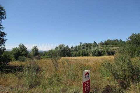 Helårsgrund i Fundao, Castelo Branco, Fundao - € 14.000 | Ref: 255170166 - foto 2