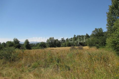 Helårsgrund i Fundao, Castelo Branco, Fundao - € 14.000 | Ref: 255170166 - foto 3