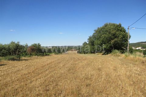 Helårsgrund i Fundao, Castelo Branco, Fundao - € 46.500 | Ref: 255170174 - foto 3