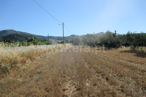 Helårsgrund i Fundao, Castelo Branco, Fundao - € 46.500 | Ref: 255170174 - foto 4