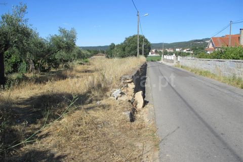 Helårsgrund i Fundao, Castelo Branco, Fundao - € 46.500 | Ref: 255170174 - foto 5