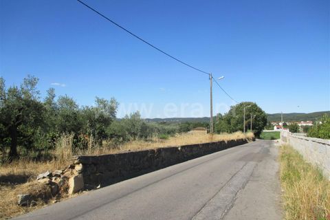 Helårsgrund i Fundao, Castelo Branco, Fundao - € 46.500 | Ref: 255170174 - foto 6