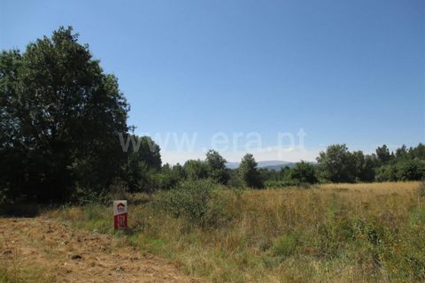 Helårsgrund i Fundao, Castelo Branco, Fundao - € 14.000 | Ref: 255170210 - foto 2