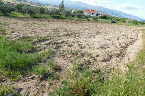 Tomt i Fundao, Castelo Branco, Fundao - € 17 500 | Ref: 255200084 - foto 2