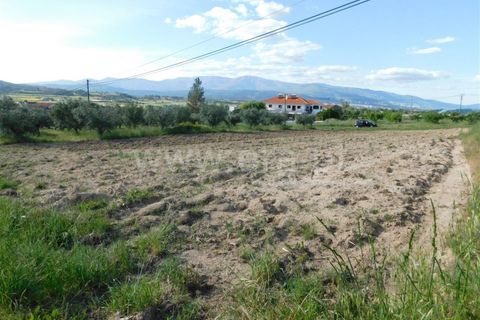 Tomt i Fundao, Castelo Branco, Fundao - € 17 500 | Ref: 255200084 - foto 3