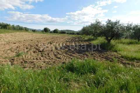 Tomt i Fundao, Castelo Branco, Fundao - € 17 500 | Ref: 255200084 - foto 4