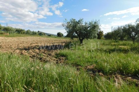 Tomt i Fundao, Castelo Branco, Fundao - € 17 500 | Ref: 255200084 - foto 5