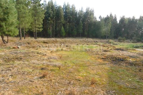 Herregård i Fundao, Castelo Branco, Fundao - € 26 000 | Ref: 255200006 - foto 5