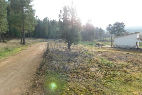 Herregård i Fundao, Castelo Branco, Fundao - € 26 000 | Ref: 255200006 - foto 7
