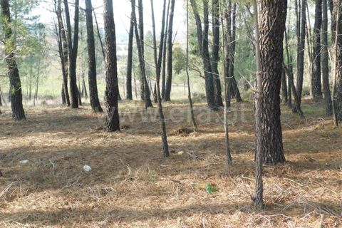 Helårsgrund i Fundao, Castelo Branco, Fundao - € 26.000 | Ref: 255200005 - foto 2