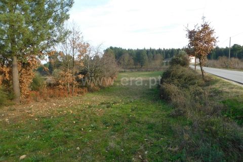Helårsgrund i Fundao, Castelo Branco, Fundao - € 26.000 | Ref: 255200005 - foto 5