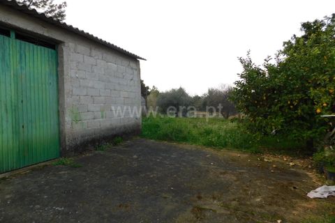 Helårsgrund i Fundao, Castelo Branco, Fundao - € 39.000 | Ref: 255200056 - foto 2
