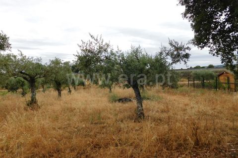 Helårsgrund i Fundao, Castelo Branco, Fundao - € 7.900 | Ref: 255190130 - foto 2