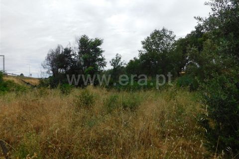 Helårsgrund i Fundao, Castelo Branco, Fundao - € 7.900 | Ref: 255190130 - foto 4