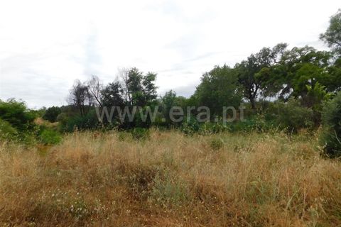 Helårsgrund i Fundao, Castelo Branco, Fundao - € 7.900 | Ref: 255190130 - foto 5