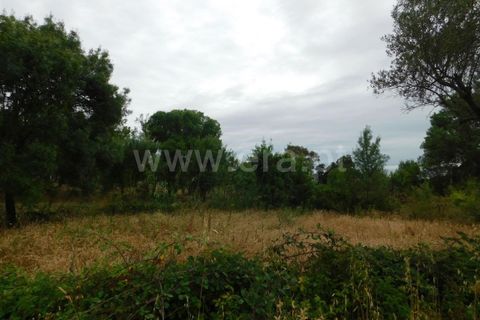 Helårsgrund i Fundao, Castelo Branco, Fundao - € 15.000 | Ref: 255190131 - foto 3