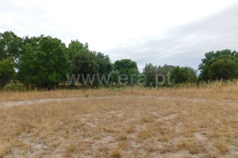 Helårsgrund i Fundao, Castelo Branco, Fundao - € 15.000 | Ref: 255190131 - foto 4