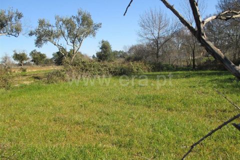 Helårsgrund i Fundao, Castelo Branco, Fundao - € 15.000 | Ref: 255190131 - foto 5