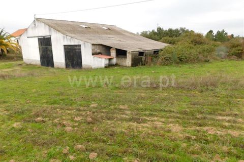 Farm i Fundao, Castelo Branco, Fundao - € 300.000 | Ref: 255200070 - foto 1