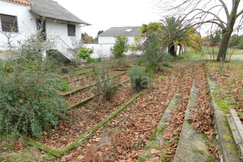 Farm i Fundao, Castelo Branco, Fundao - € 300.000 | Ref: 255200070 - foto 5