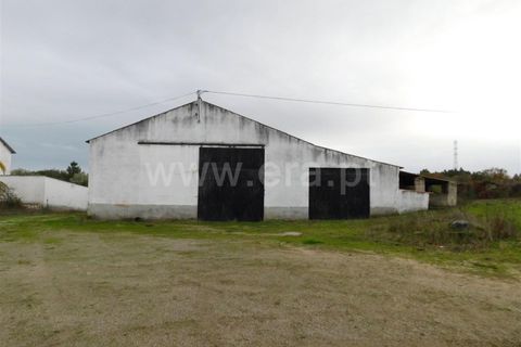 Farm i Fundao, Castelo Branco, Fundao - € 300.000 | Ref: 255200070 - foto 9