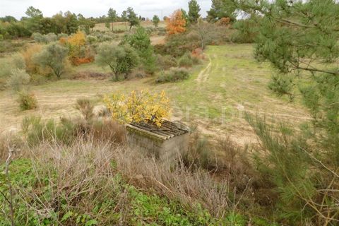 Farm i Fundao, Castelo Branco, Fundao - € 300.000 | Ref: 255200070 - foto 13