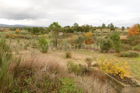 Farm i Fundao, Castelo Branco, Fundao - € 300.000 | Ref: 255200070 - foto 14