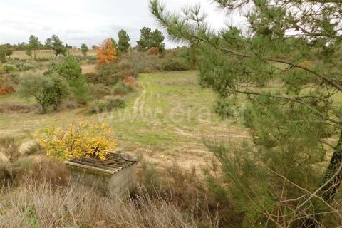 Farm i Fundao, Castelo Branco, Fundao - € 300.000 | Ref: 255200070 - foto 15