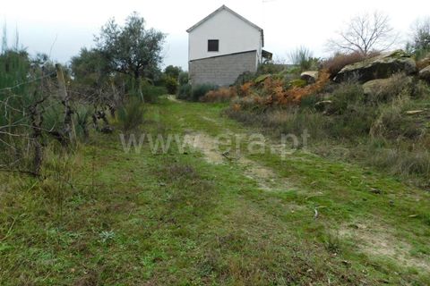 Farm i Fundao, Castelo Branco, Fundao - € 300.000 | Ref: 255200070 - foto 16
