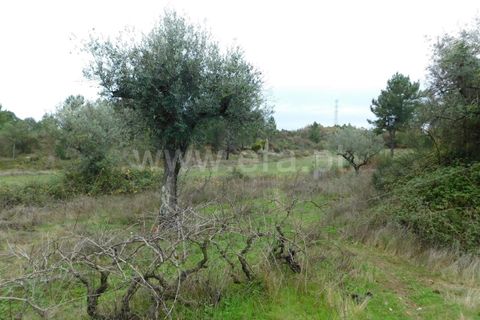 Farm i Fundao, Castelo Branco, Fundao - € 300.000 | Ref: 255200070 - foto 17