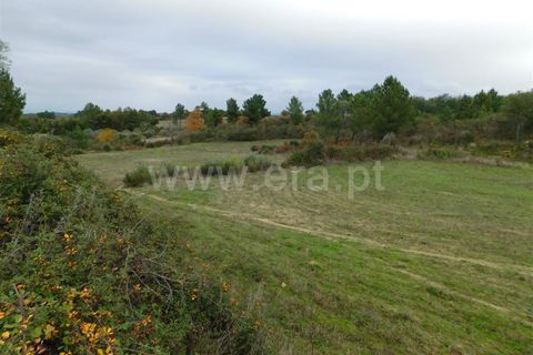 Farm i Fundao, Castelo Branco, Fundao - € 300.000 | Ref: 255200070 - foto 18