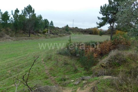 Farm i Fundao, Castelo Branco, Fundao - € 300.000 | Ref: 255200070 - foto 19