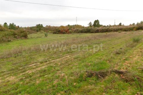 Farm i Fundao, Castelo Branco, Fundao - € 300.000 | Ref: 255200070 - foto 21