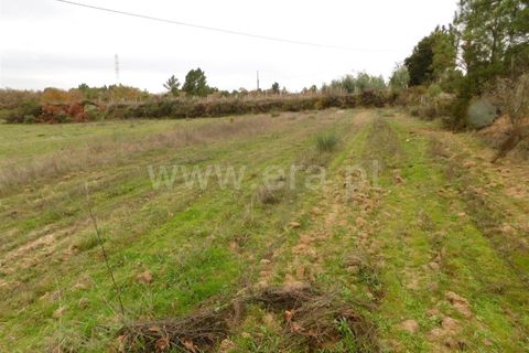 Farm i Fundao, Castelo Branco, Fundao - € 300.000 | Ref: 255200070 - foto 22