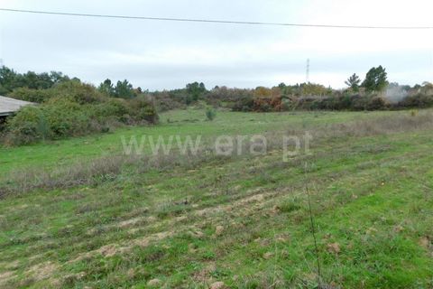 Farm i Fundao, Castelo Branco, Fundao - € 300.000 | Ref: 255200070 - foto 23
