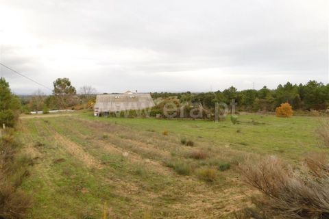 Farm i Fundao, Castelo Branco, Fundao - € 300.000 | Ref: 255200070 - foto 24