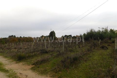 Farm i Fundao, Castelo Branco, Fundao - € 300.000 | Ref: 255200070 - foto 25