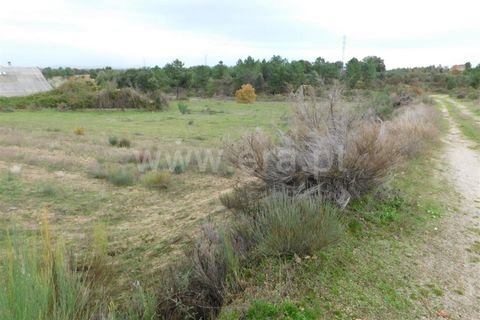 Farm i Fundao, Castelo Branco, Fundao - € 300.000 | Ref: 255200070 - foto 27