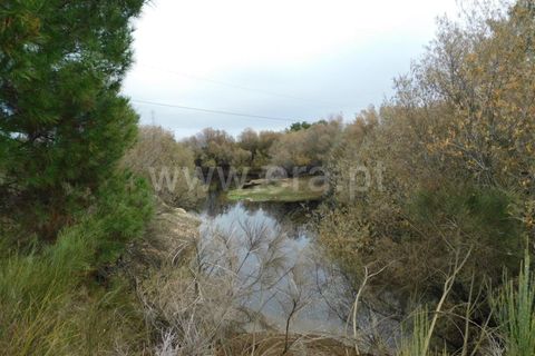 Farm i Fundao, Castelo Branco, Fundao - € 300.000 | Ref: 255200070 - foto 32