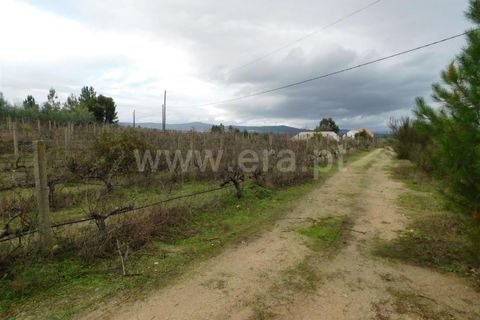 Farm i Fundao, Castelo Branco, Fundao - € 300.000 | Ref: 255200070 - foto 33