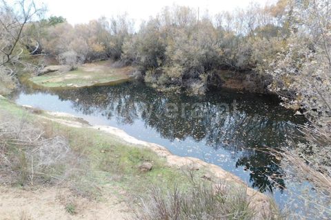Farm i Fundao, Castelo Branco, Fundao - € 300.000 | Ref: 255200070 - foto 34