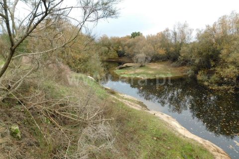 Farm i Fundao, Castelo Branco, Fundao - € 300.000 | Ref: 255200070 - foto 35