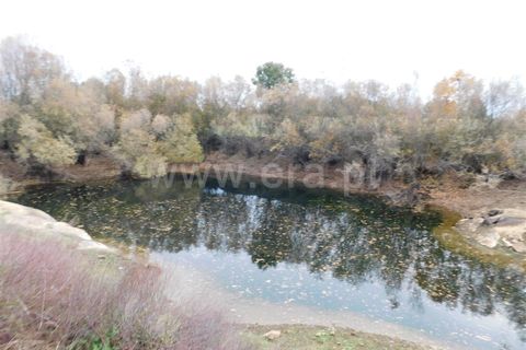 Farm i Fundao, Castelo Branco, Fundao - € 300.000 | Ref: 255200070 - foto 36