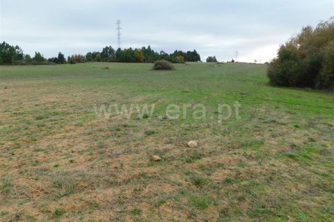 Farm i Fundao, Castelo Branco, Fundao - € 300.000 | Ref: 255200070 - foto 37